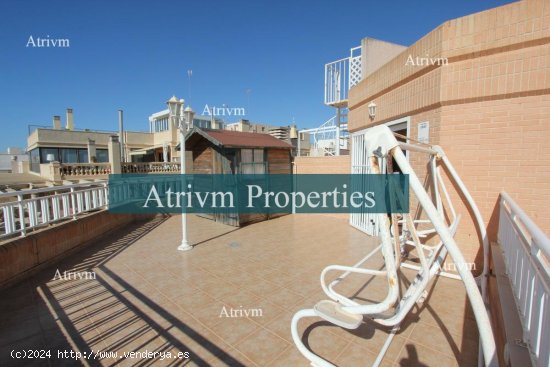 Apartamento en alquiler en Guardamar del Segura (Alicante)