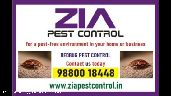  Bedbug Treatment | white field Bangalore | 100% safe Service | 4029 