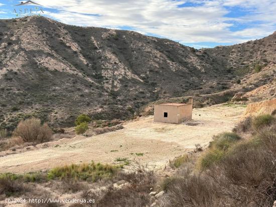  PARCELA CON CASITA - ALICANTE 