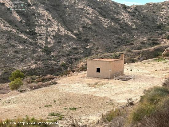 PARCELA CON CASITA - ALICANTE