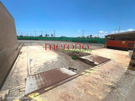 NAVE  LOGITICA E INDUSTRIAL CON GRAN CAMPA - ALICANTE