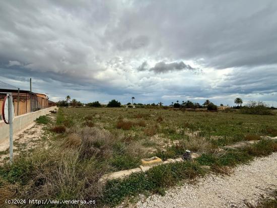 Terreno de 10.000m2 en perleta a 3 minutos de Elche donde podrás construir tu casa - ALICANTE