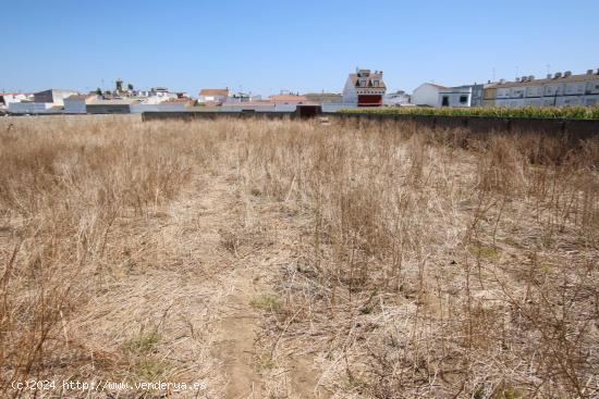 SOLAR DE MAS DE 3000 M.CUADRADOS  EN ZONA MUY TRANSITADA DE MONTIJO - BADAJOZ