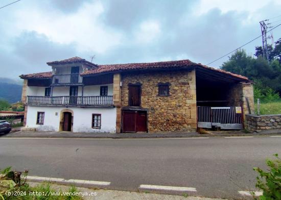 CASA DE PIEDRA MONTAÑESA A REFORMAR - CANTABRIA