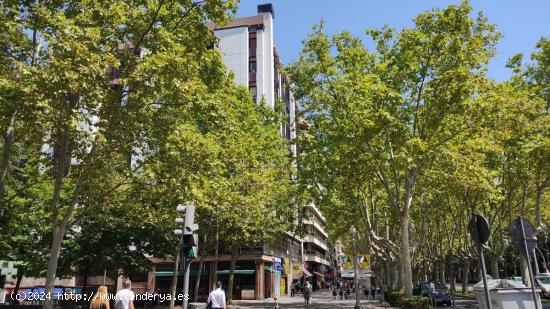  Alquiler en la mejor zona de PASEO DE ZORRILLA. - VALLADOLID 