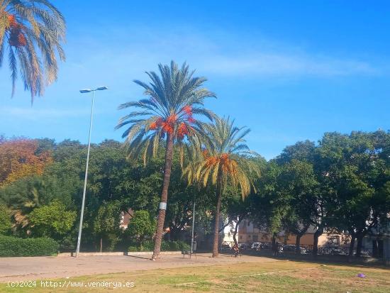 PRIMERA PLANTA ZONA OESTE PARA REFORMAR - CADIZ