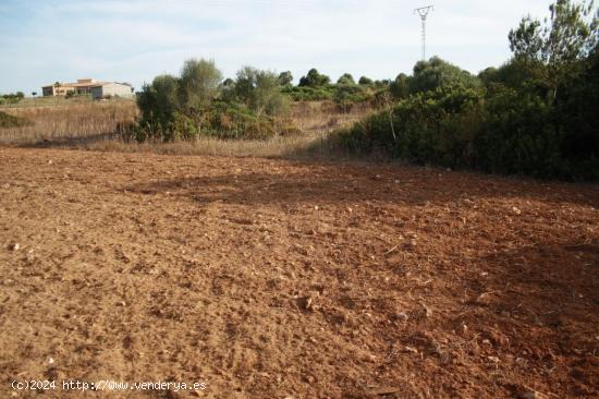 Terreno rústico con pequeña casita - BALEARES