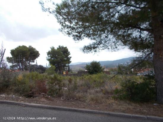 Terreno en la Bisbal del Penedés - TARRAGONA