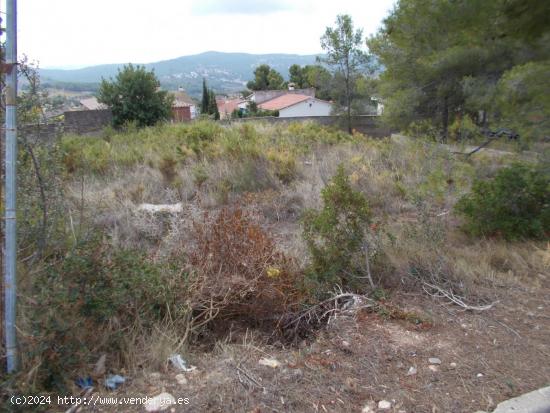 Terreno en la Bisbal del Penedés - TARRAGONA