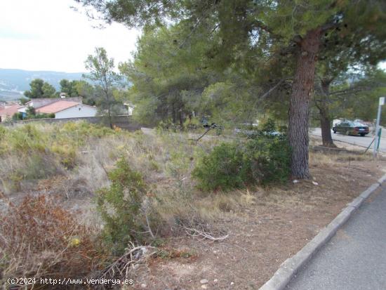 Terreno en la Bisbal del Penedés - TARRAGONA