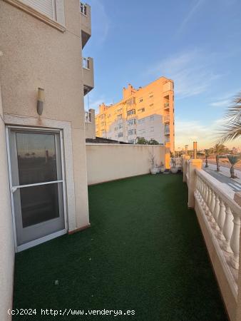 PISO CON TERRAZA EN ALQUILER EN CAMPO DE FUTBOL - ALICANTE