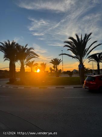 PISO CON TERRAZA EN ALQUILER EN CAMPO DE FUTBOL - ALICANTE