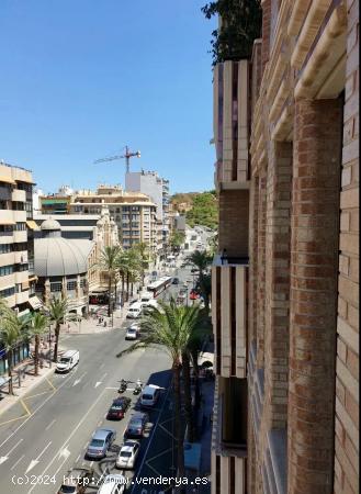 VENTA DE EXCELENTE VIVIENDA EN UNA UBICACIÓN INMEJORABLE EN CENTRO DE ALICANTE - ALICANTE