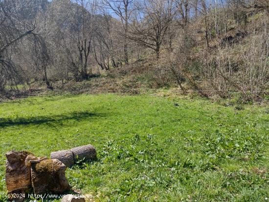 Finca con calificación urbano y rustico de 8.544m² en SOBREDOBRES (VEGA DE LIEBANA) - CANTABRIA