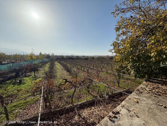  Venta de  parcela rustica en La Zubia. - GRANADA 