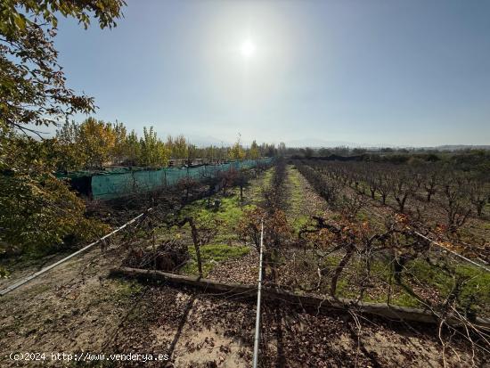 Venta de  parcela rustica en La Zubia. - GRANADA