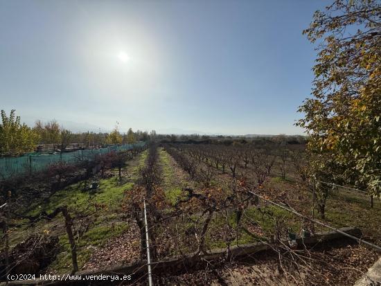 Venta de  parcela rustica en La Zubia. - GRANADA