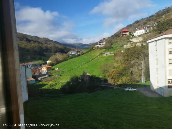  Se Vende en Riosa - ASTURIAS 