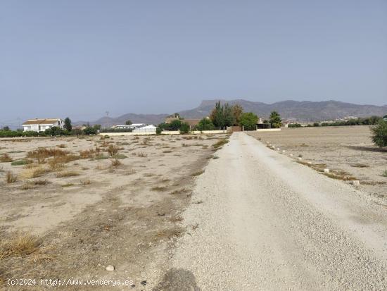 Parcela Urbanizable - Campillo, Lorca - MURCIA