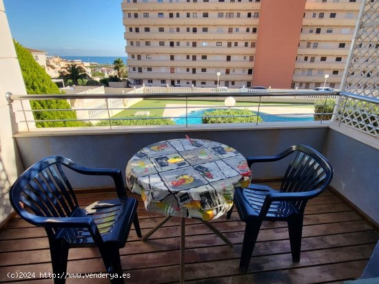  Apartamento en venta en Torrevieja (Alicante) 