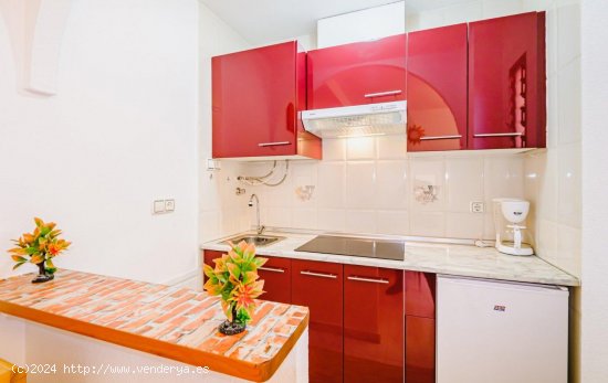  Apartamento en alquiler en Torrevieja (Alicante) 