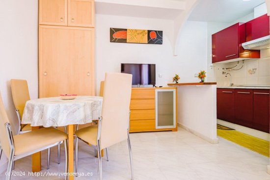 Apartamento en alquiler en Torrevieja (Alicante)