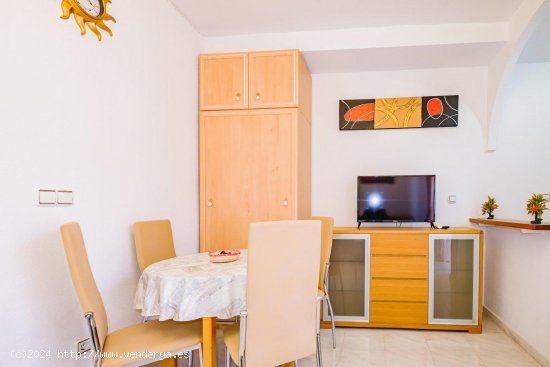 Apartamento en alquiler en Torrevieja (Alicante)