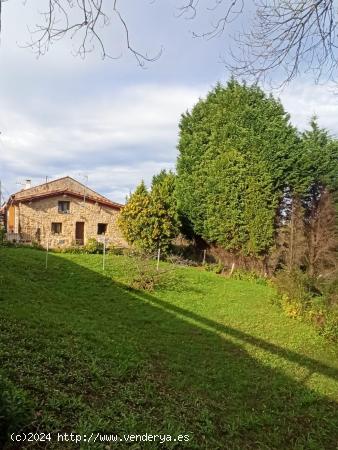 PAREADO CON FINCA ZONA QUINTES POR  240.000 EUROS - ASTURIAS