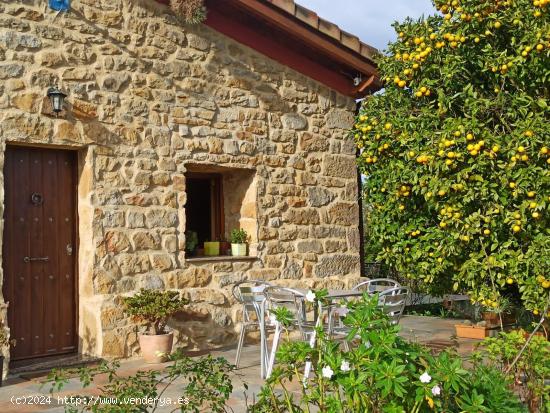 PAREADO CON FINCA ZONA QUINTES POR  240.000 EUROS - ASTURIAS