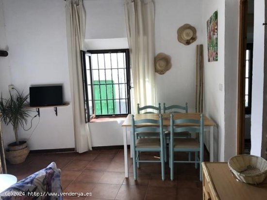 Apartamento en alquiler en Granada (Granada)