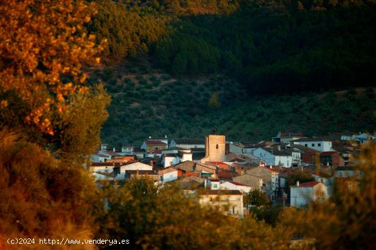 CASA EN BENATAE (JAEN) - JAEN