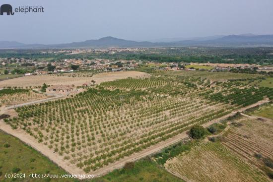 TERRENO EN APORTACION EN ESCALONA - TOLEDO