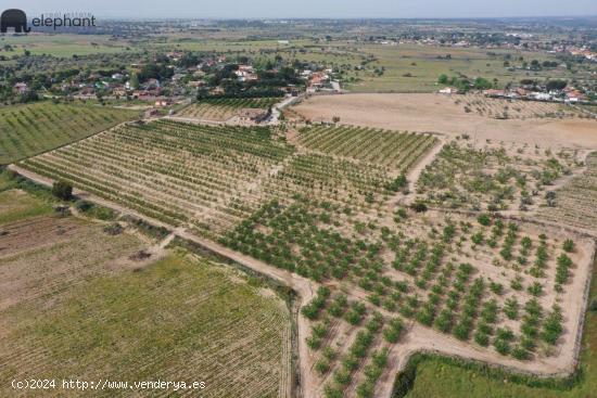 TERRENO EN APORTACION EN ESCALONA - TOLEDO