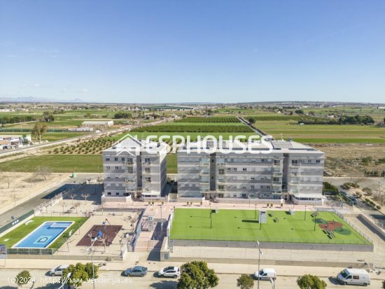 Apartamento en venta a estrenar en Dolores (Alicante)