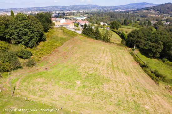 Finca en venta en Oviedo (Asturias)