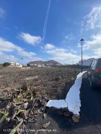 SE VENDE Estupendas parcelas en Guatiza - Teguise