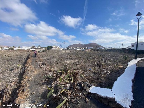 SE VENDE Estupendas parcelas en Guatiza - Teguise