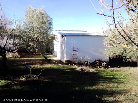 Casa de campo-Masía en Venta en Setenil De Las Bodegas Cádiz