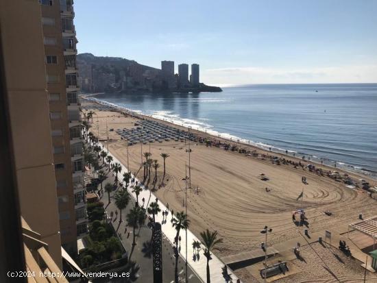  Alquiler anual y por meses piso dos dormitorios en playa levante - ALICANTE 