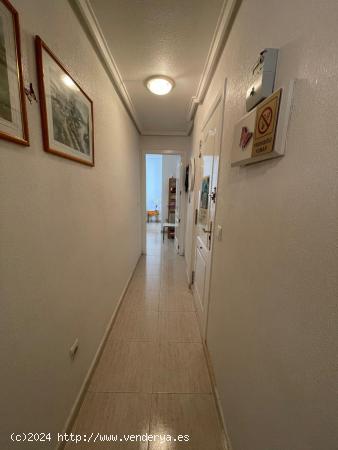 REF.- 26 - Apartamento en Zona Habaneras a tan solo 400 metros de la Playa del Cura - Torrevieja - A