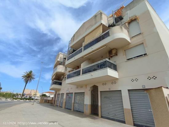 Apartamento de 1 dormitorio con terraza en playa de Miramar - VALENCIA