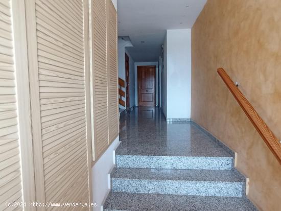 Apartamento de 1 dormitorio con terraza en playa de Miramar - VALENCIA