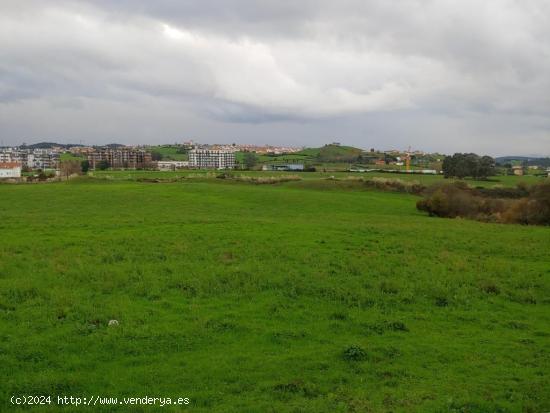 FINCA RUSTICA EN SANTA CRUZ DE BEZANA - CANTABRIA