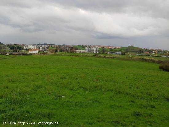 FINCA RUSTICA EN SANTA CRUZ DE BEZANA - CANTABRIA