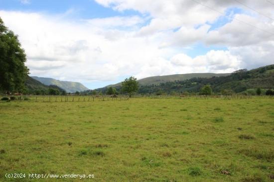 Se Vende en Cabuerniga - CANTABRIA