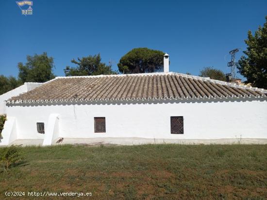 SE VENDE FINCA RUSTICA ZONA ROMERAL - CADIZ