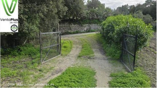  Terreno libre en Montuiri de 5.452m2 con caseta de 20m2 + otra de 7m2. - BALEARES 