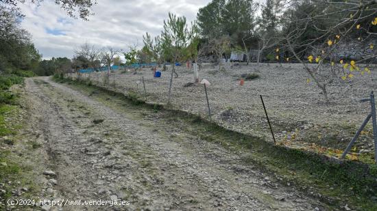 Terreno libre en Montuiri de 5.452m2 con caseta de 20m2 + otra de 7m2. - BALEARES