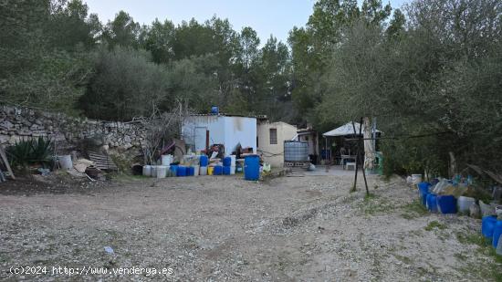 Terreno libre en Montuiri de 5.452m2 con caseta de 20m2 + otra de 7m2. - BALEARES