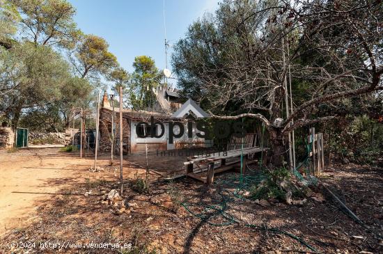  SE VENDE FINCA RÚSTICA EN PORRERAS CON 7500M² DE TERRENO - BALEARES 